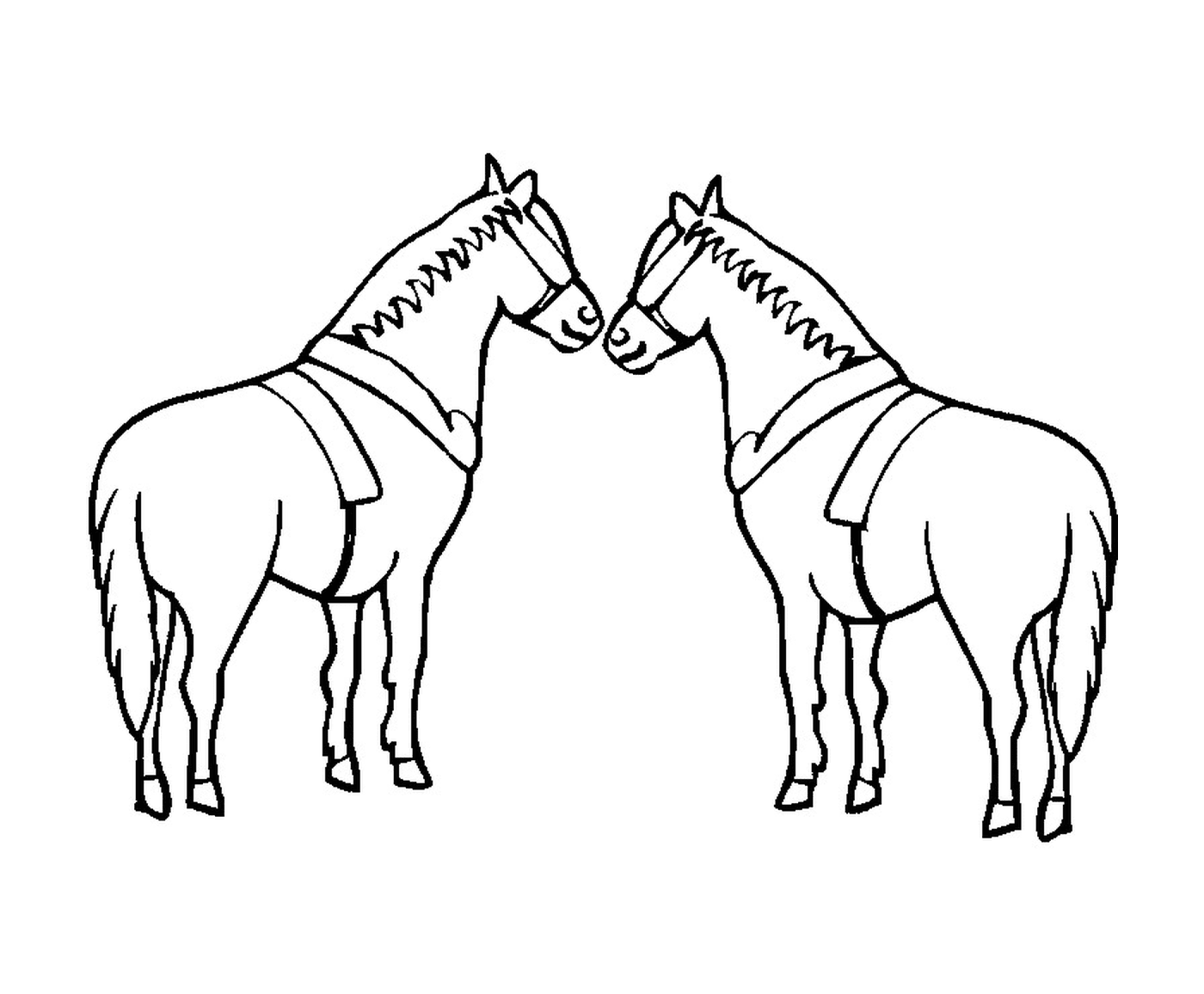  घास में खड़े हुए घोड़े के दो जोड़े 