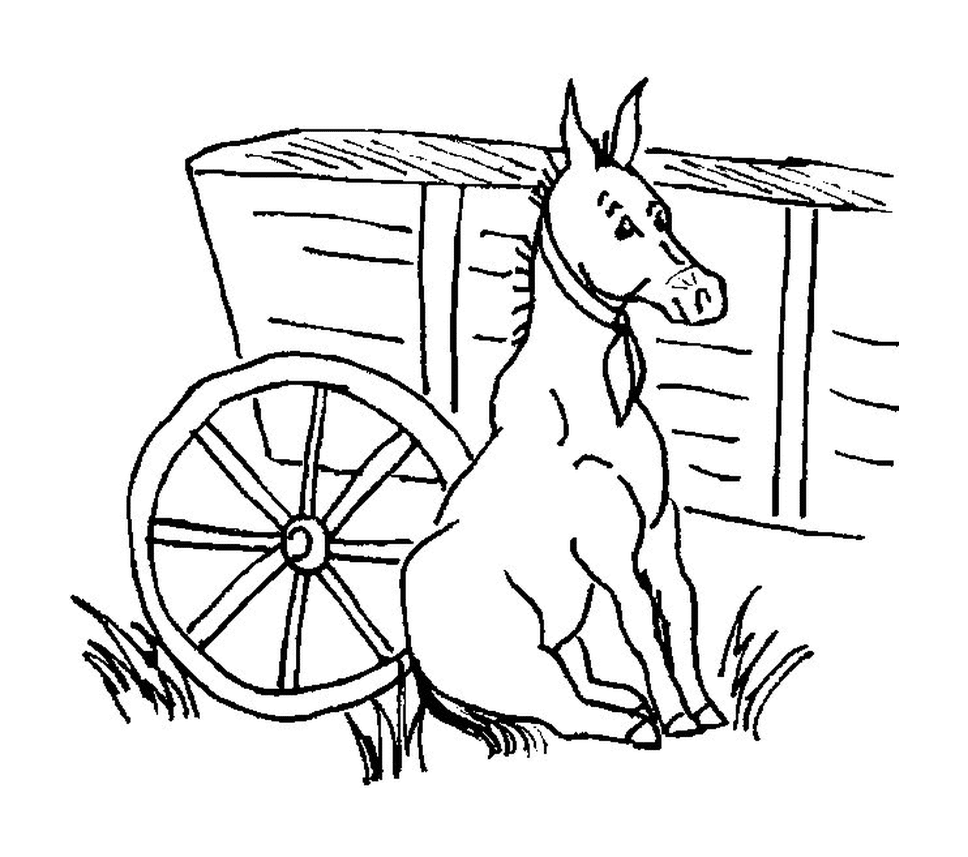  Um burro sentado ao lado de um carrinho 