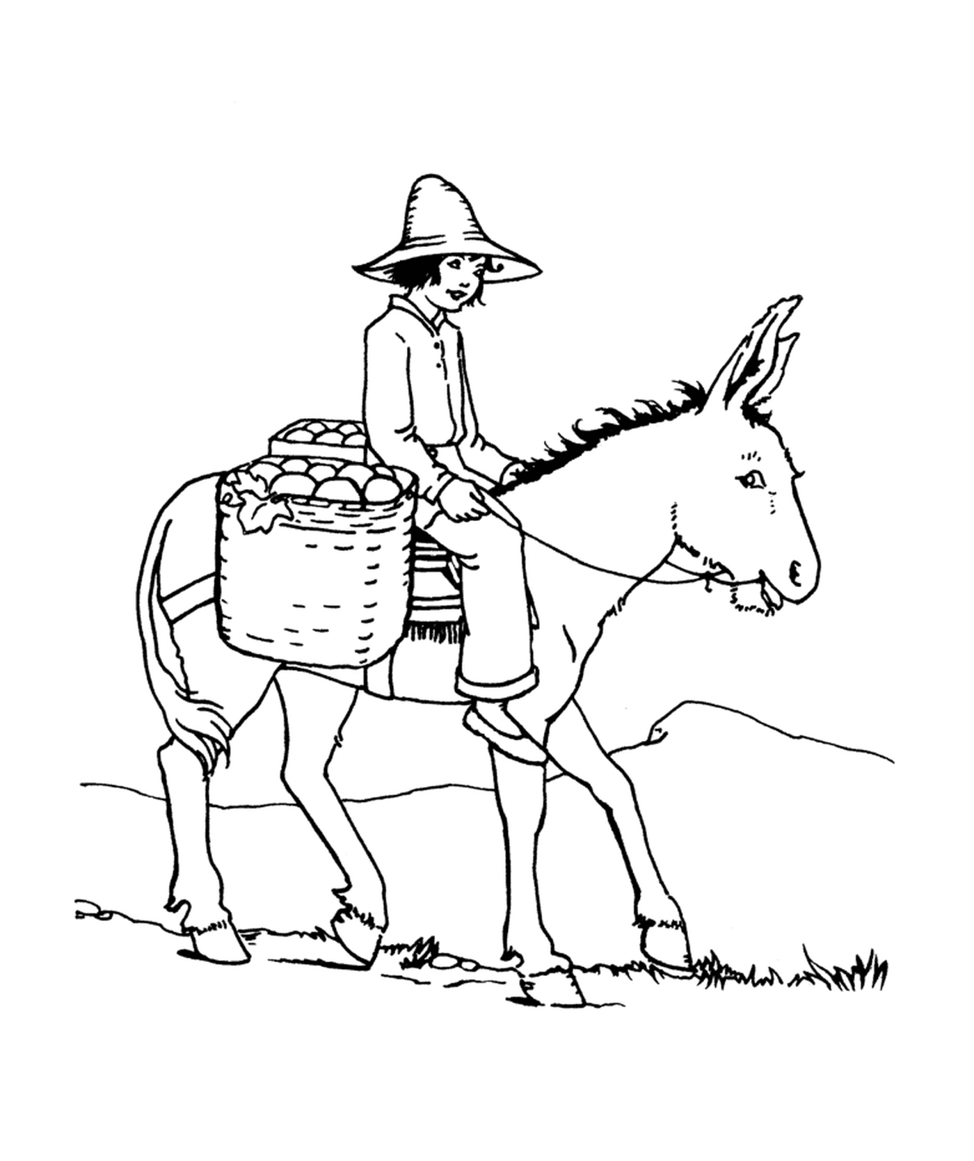  Um homem montando um burro com uma cesta nas costas 
