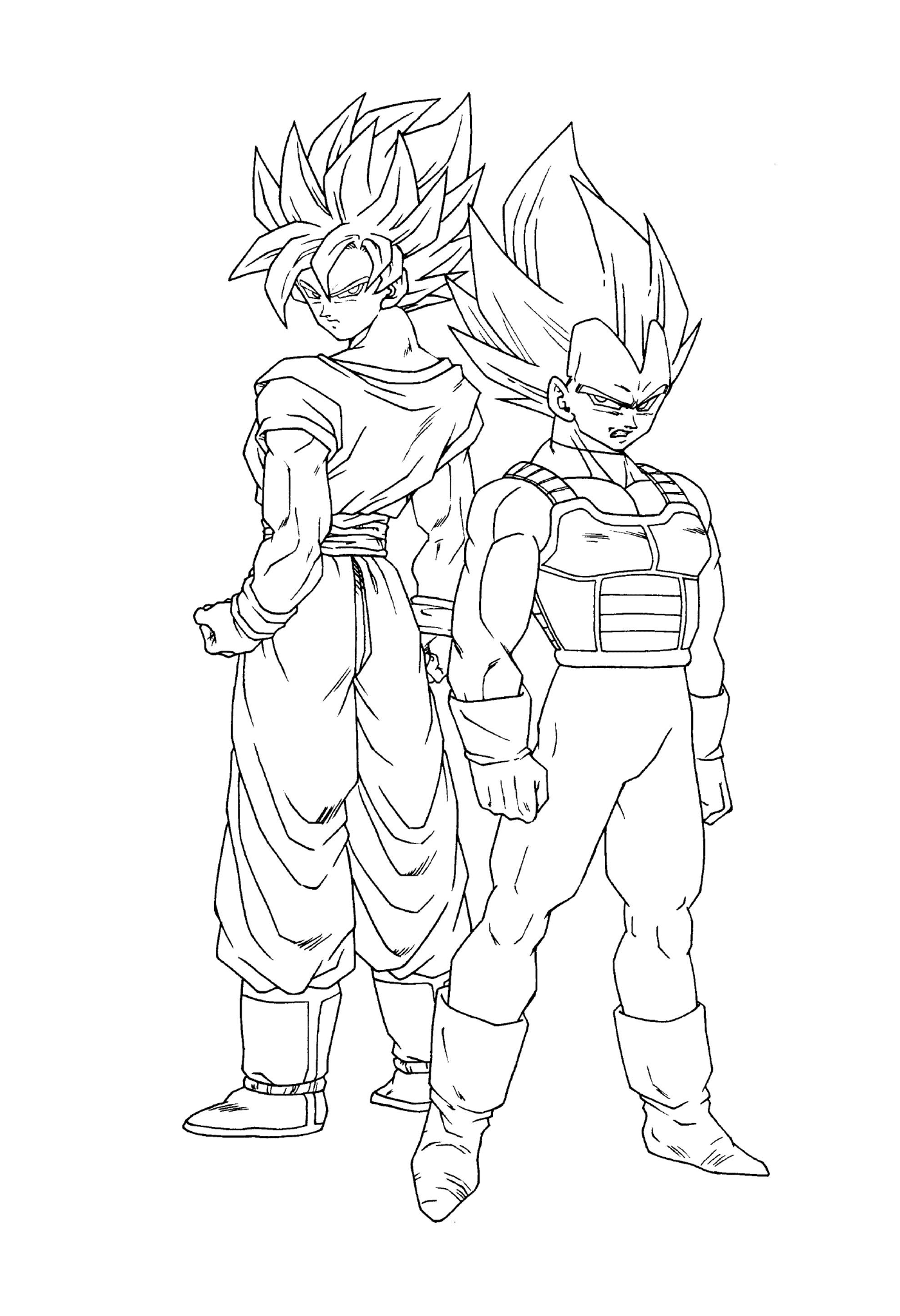  Goku e seu irmão Vegeta de Dragon Ball Z 