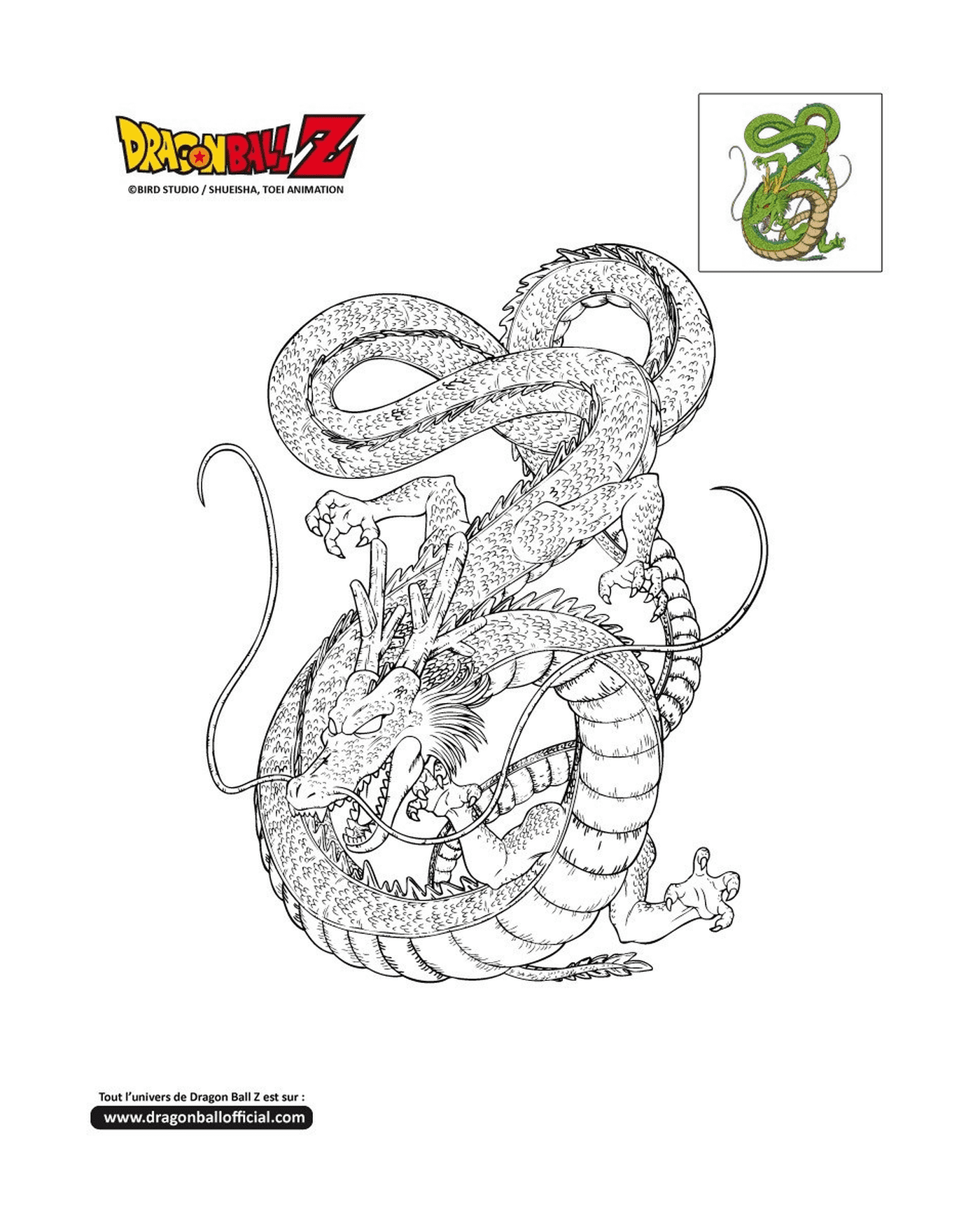  Shenron, um dragão com uma cobra em volta do pescoço em Dragon Ball Z 