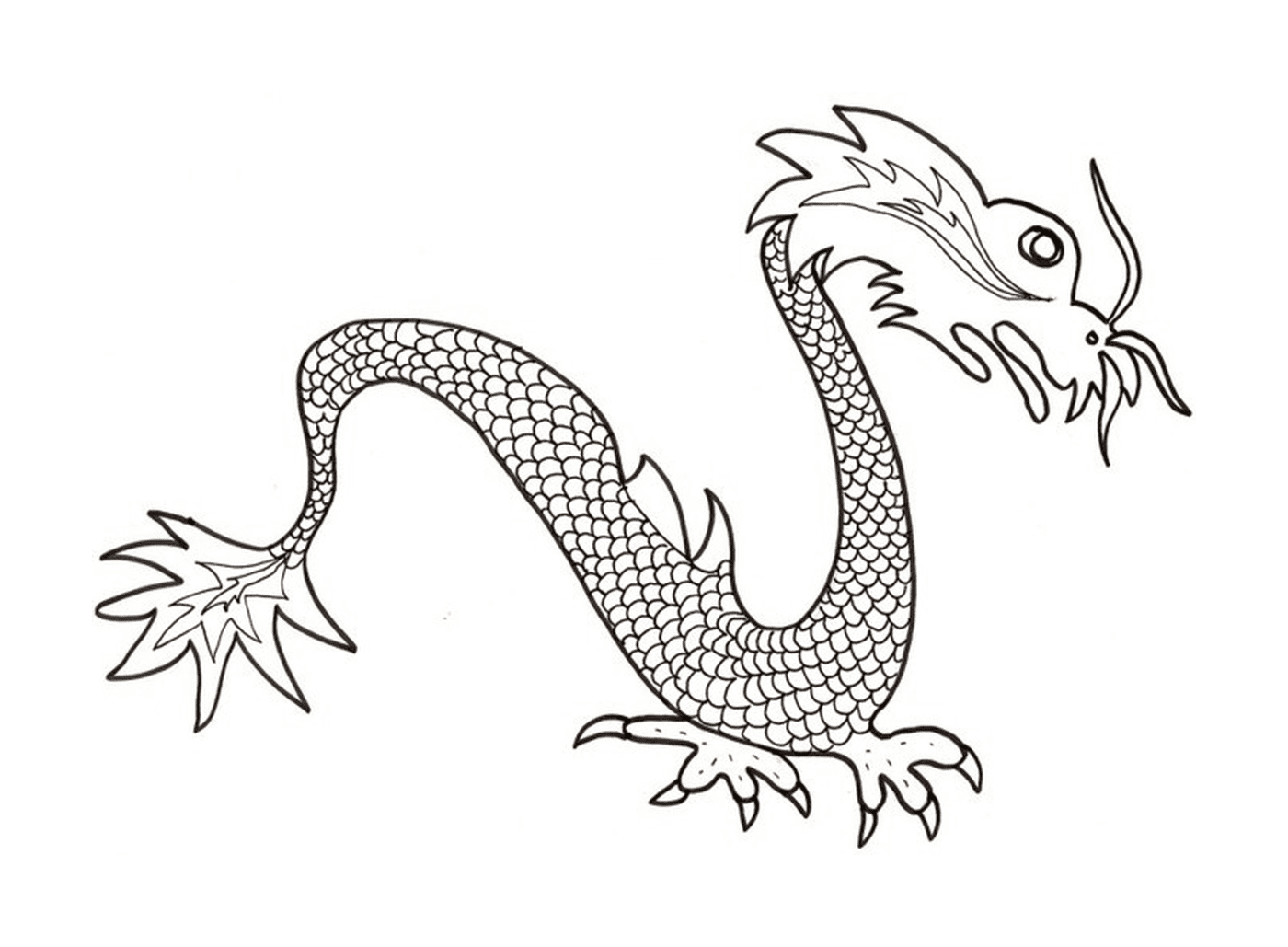  सरल तथा सुन्दर चीनी ड्रैगन 