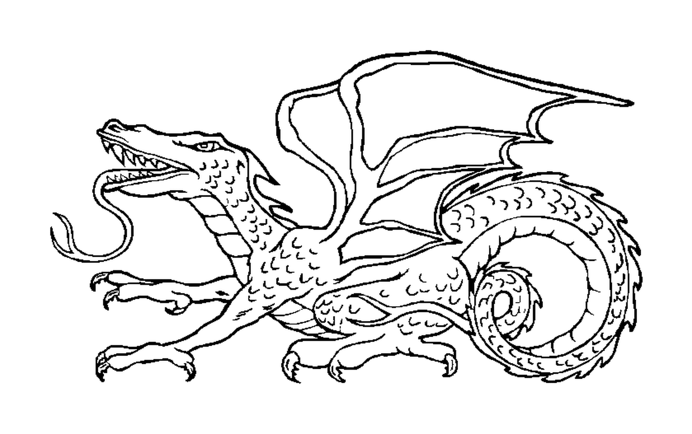  Um dragão com as asas para fora 
