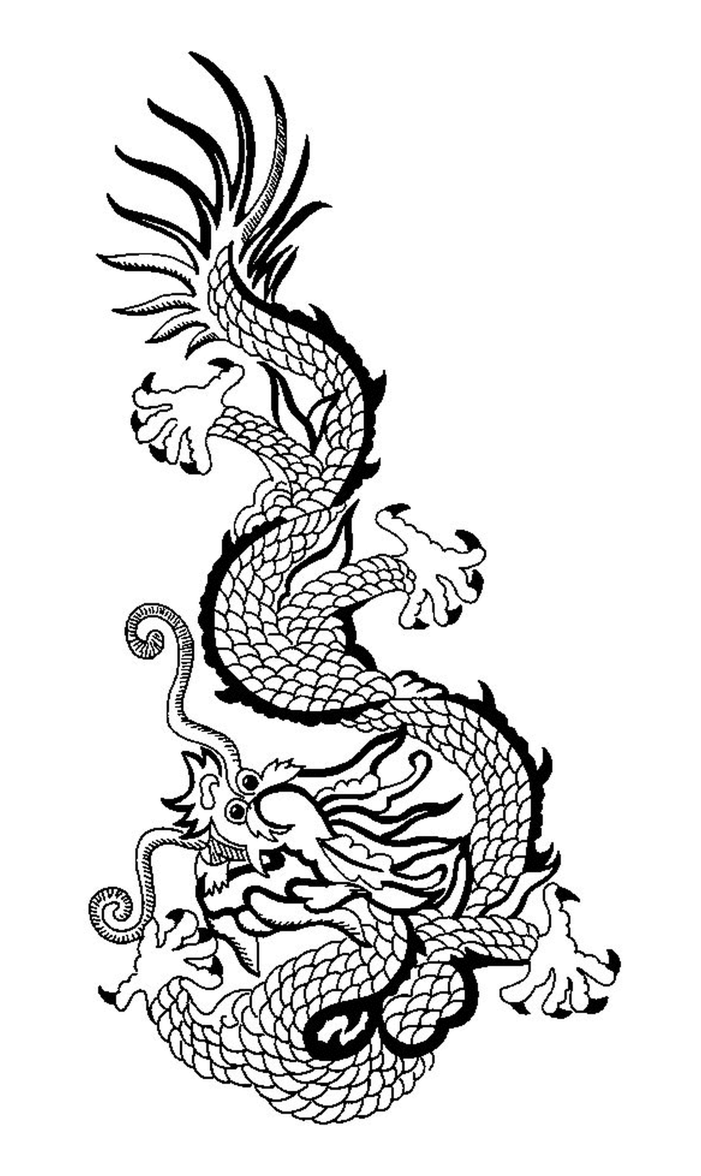  Um dragão japonês 