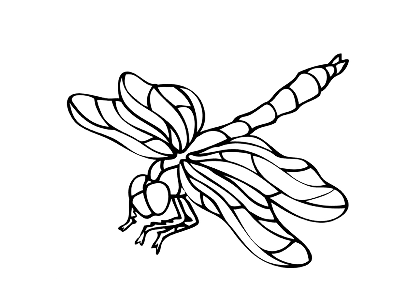  Libellule : Um belo inseto 