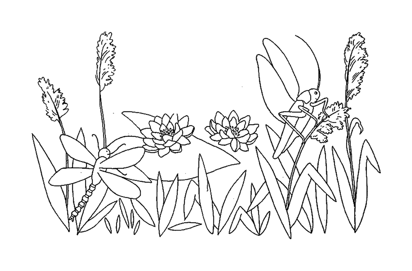  Uma libélula e um gafanhoto em um jardim de flores 