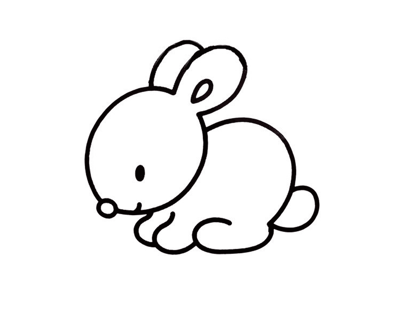  可爱,和平的兔子 