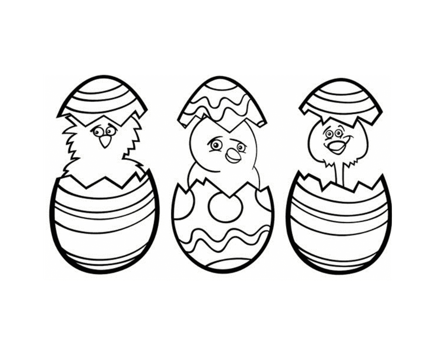  三个可爱的小鸡孵化 