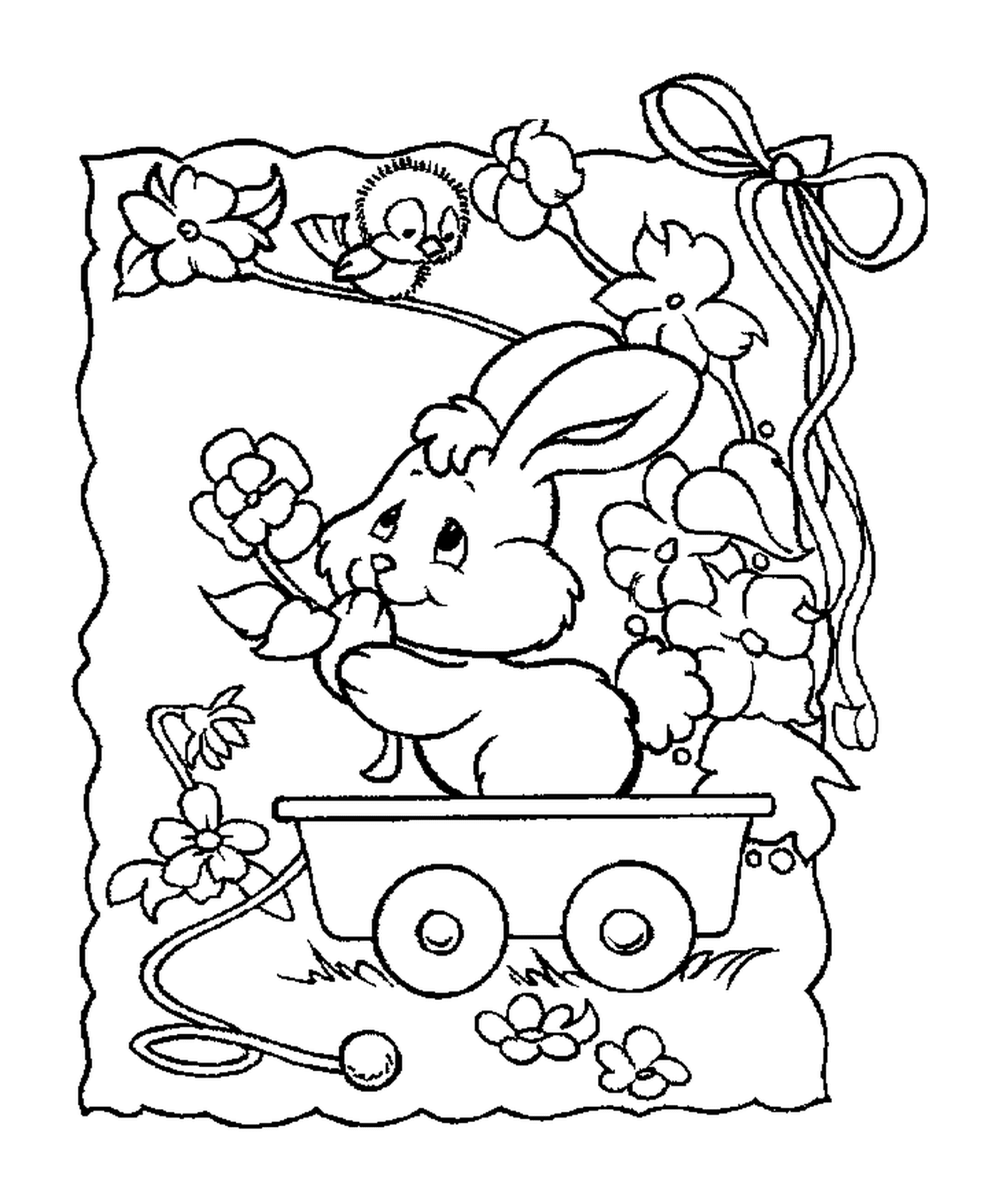  أرنب يجلس في عربة 