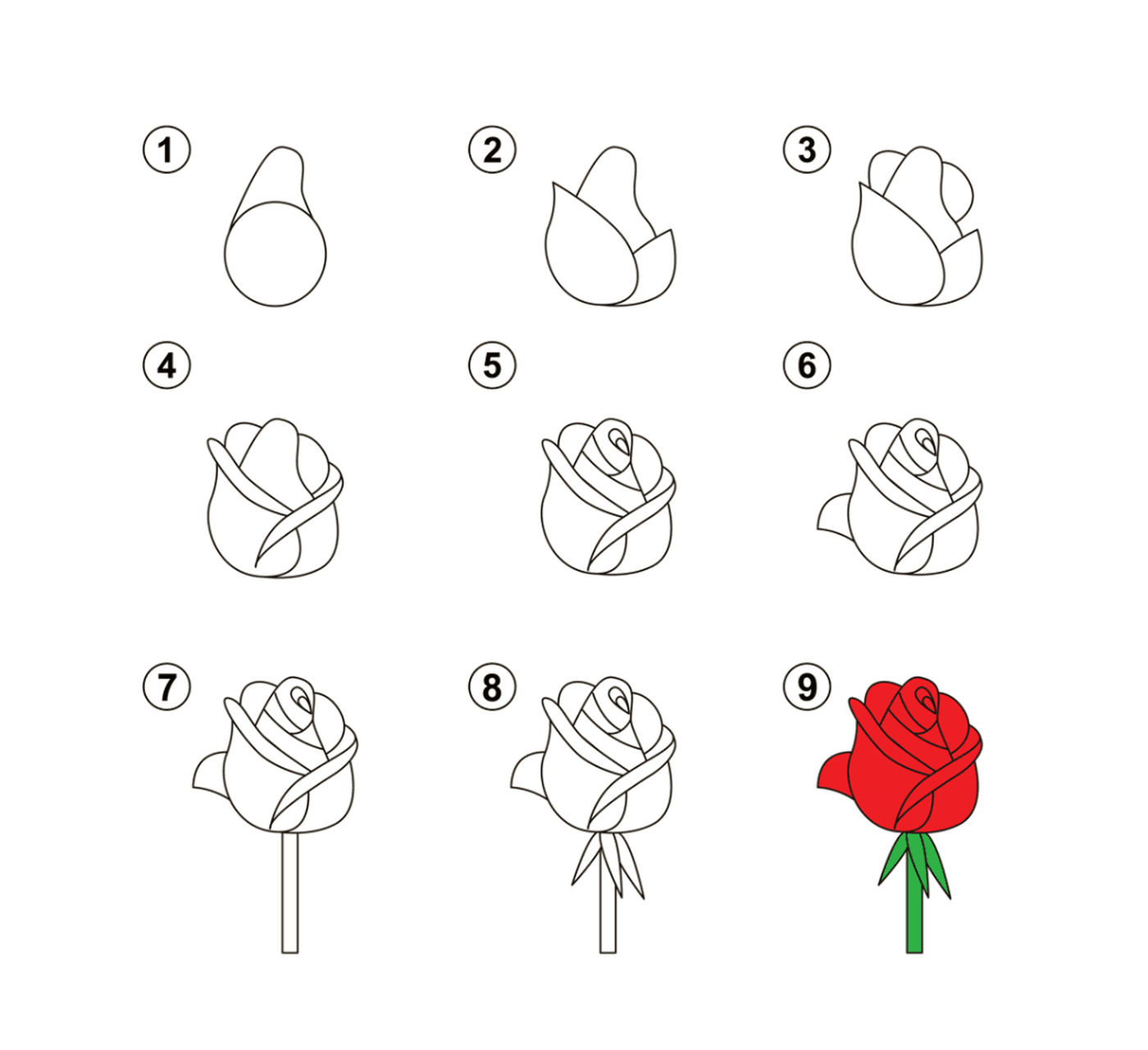  Instruções passo a passo sobre como desenhar uma rosa 