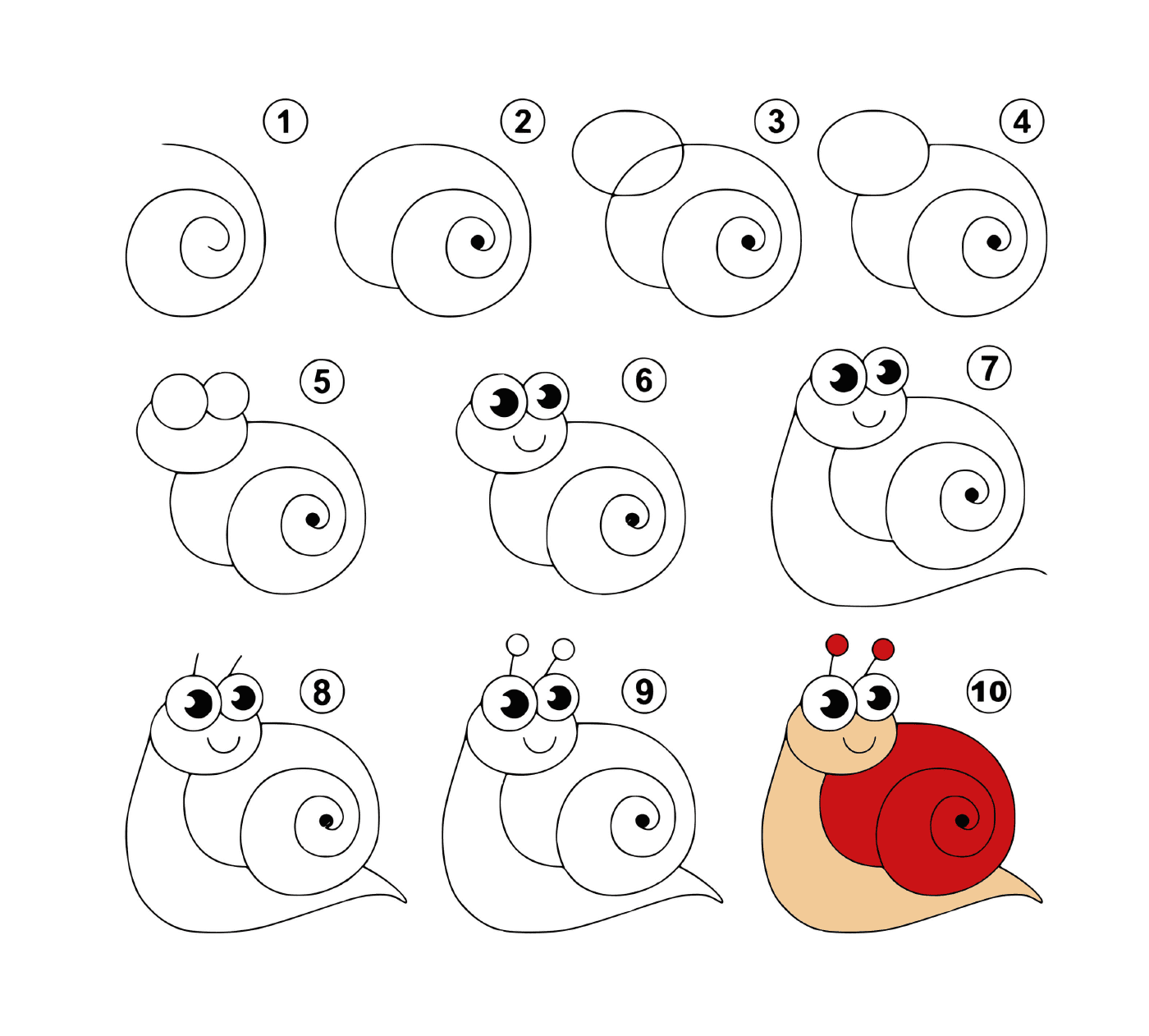  Como desenhar um caracol facilmente 