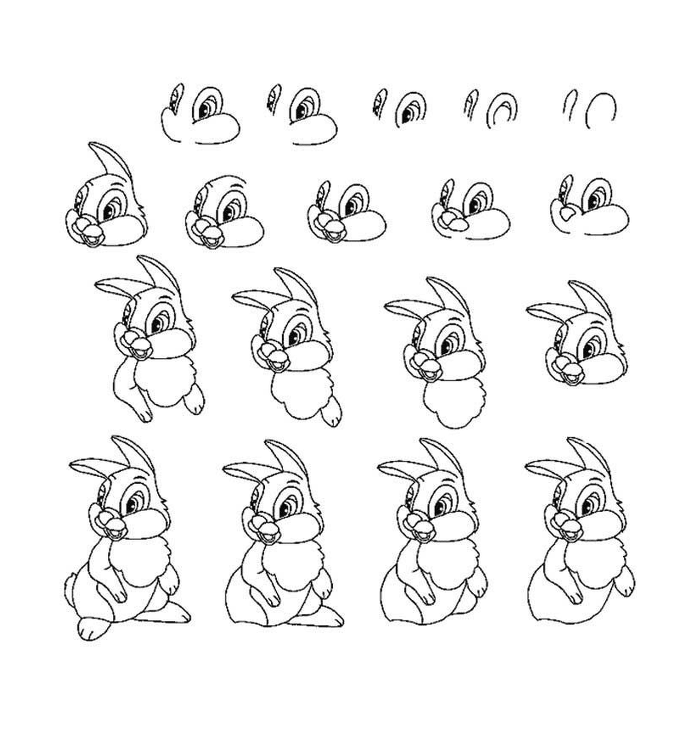  Diferentes poses de um coelho 