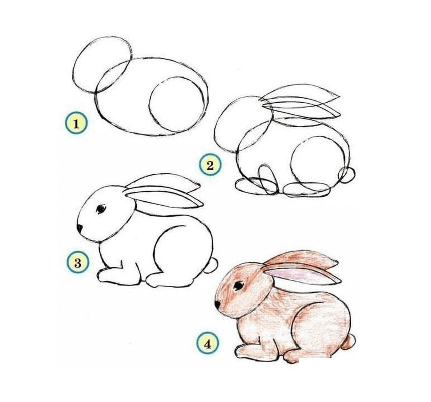 如何一步一步地绘制兔子 