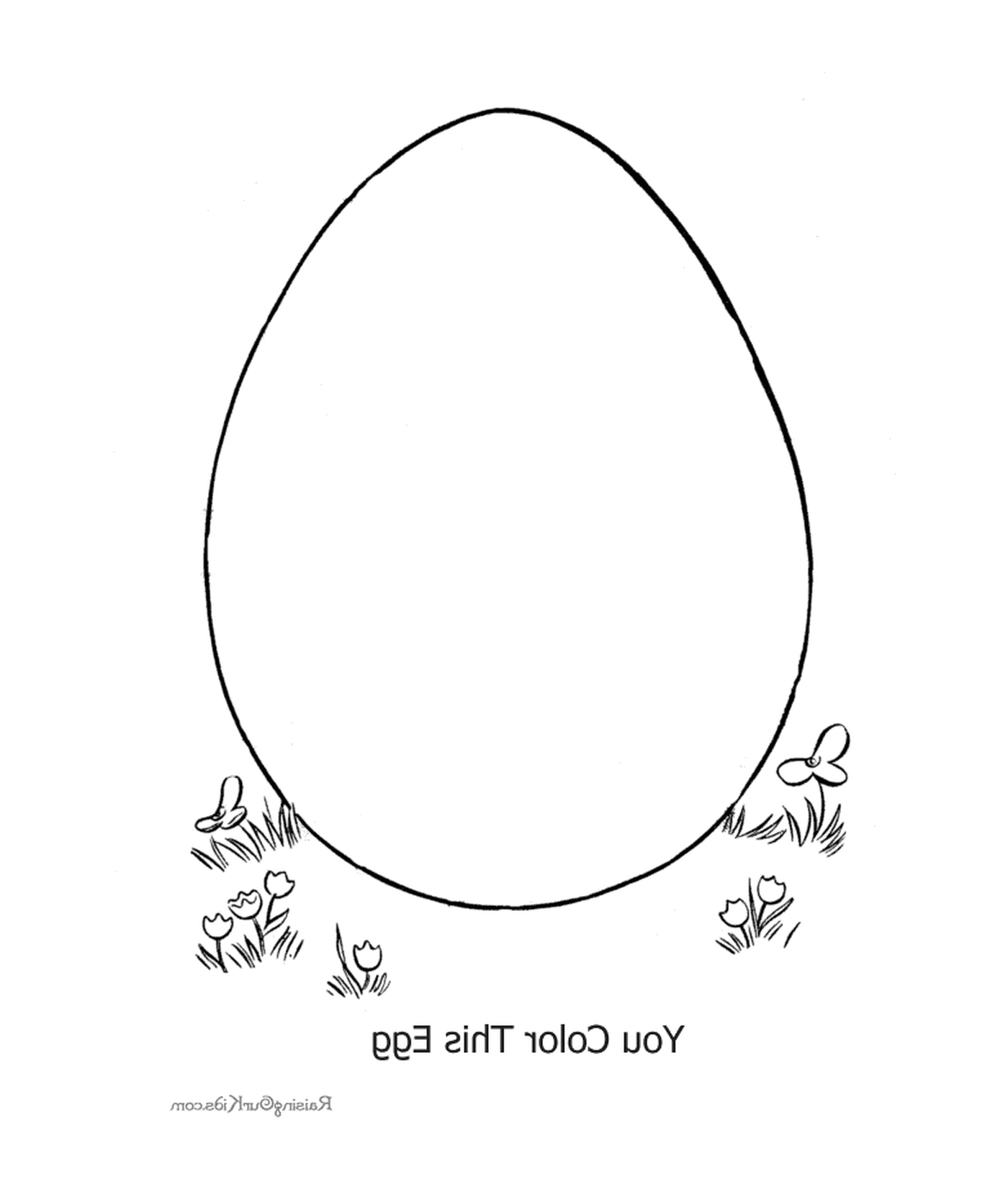  बड़ा अंडे अंडे के शेलों को 