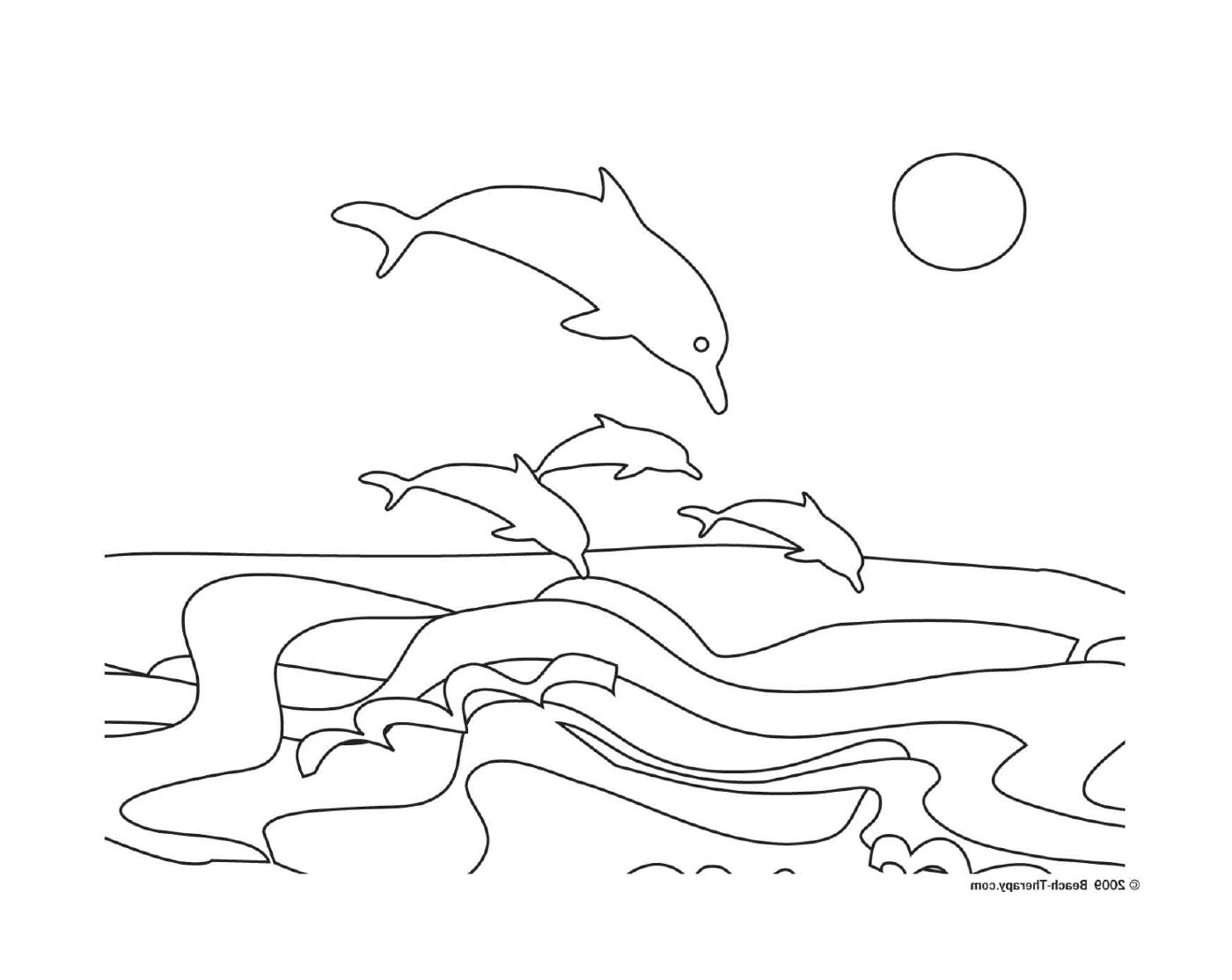  一群海豚从水中跳出来 