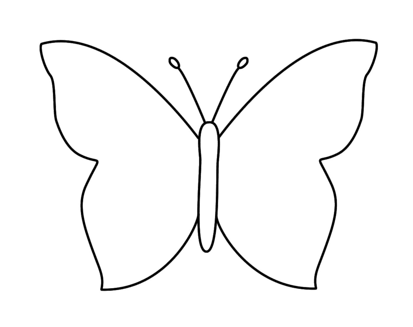  Uma borboleta 