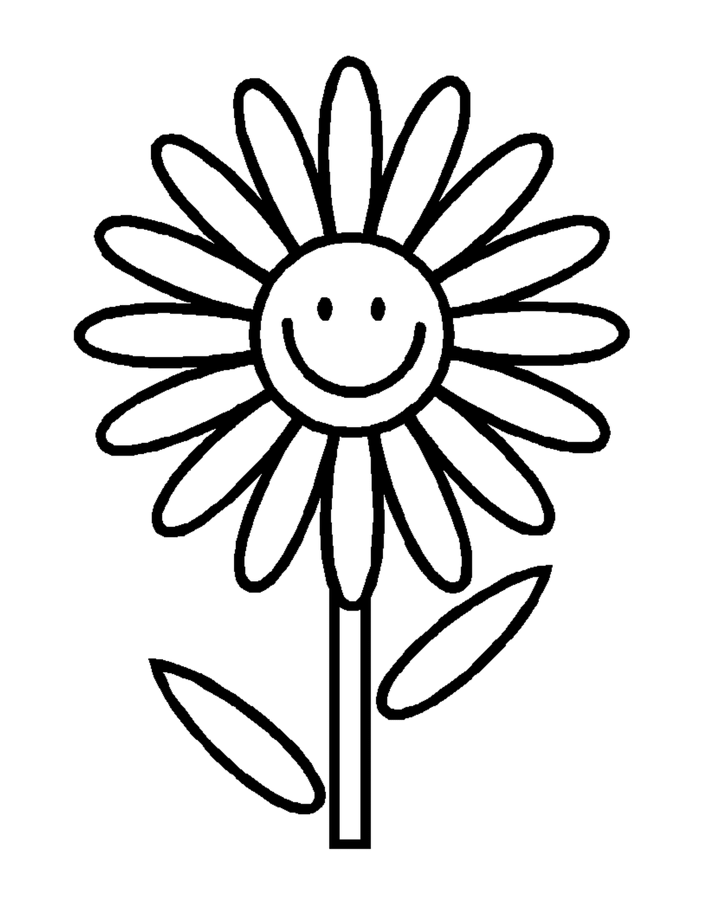  Uma flor sorridente 