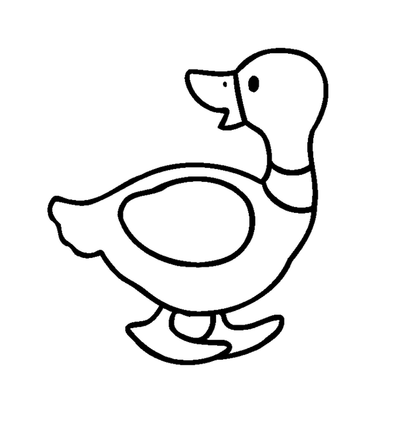  Um pato 