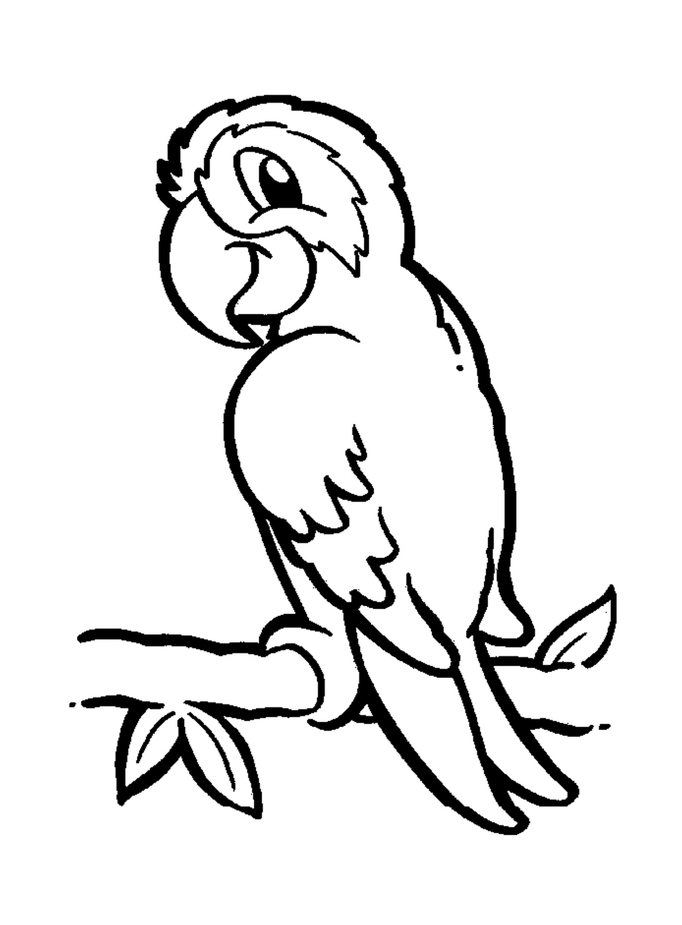  Um papagaio 