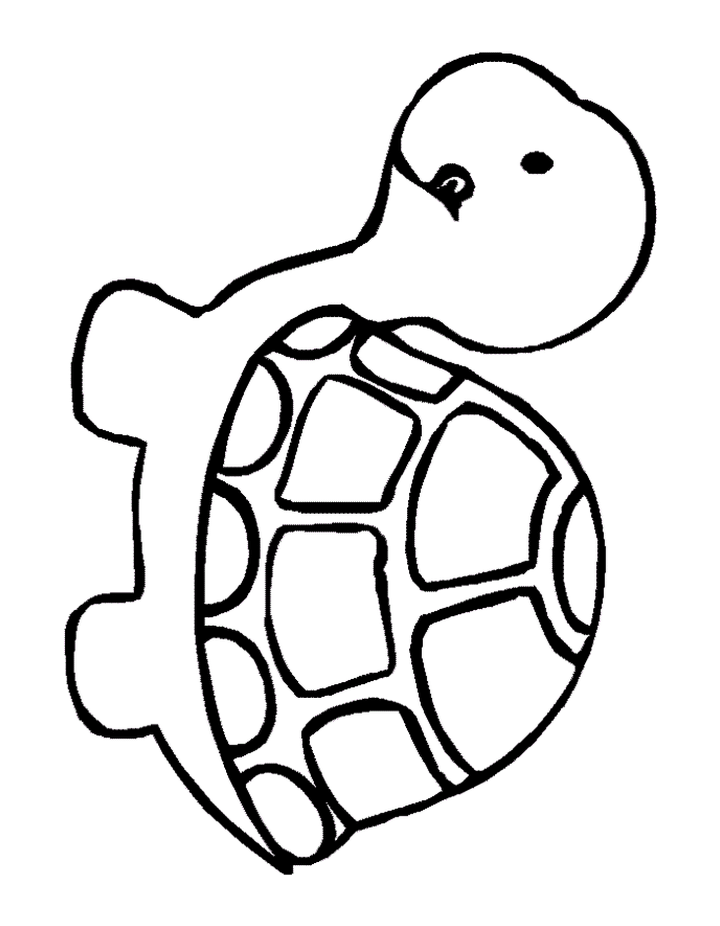  Uma tartaruga 