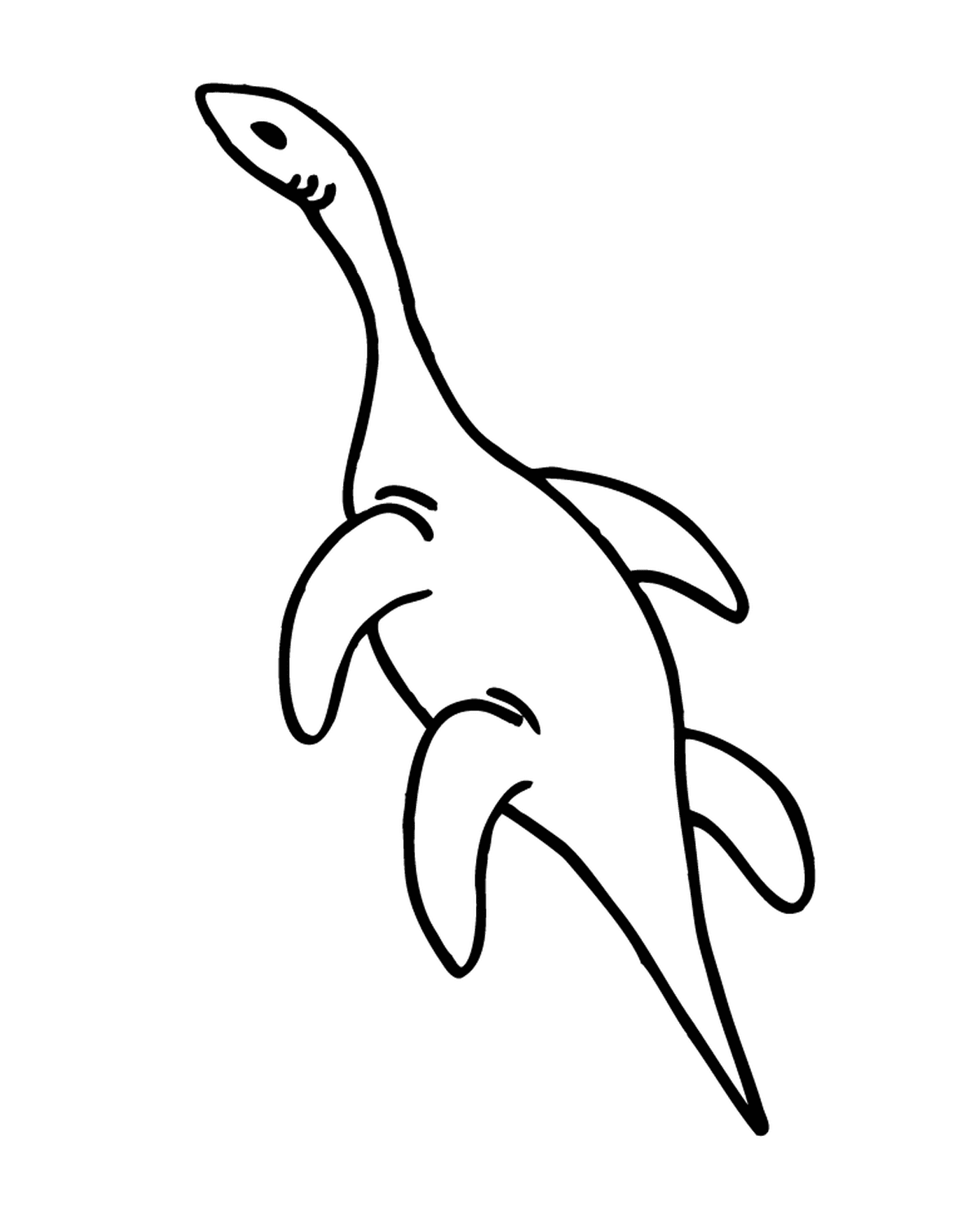 Um golfinho 