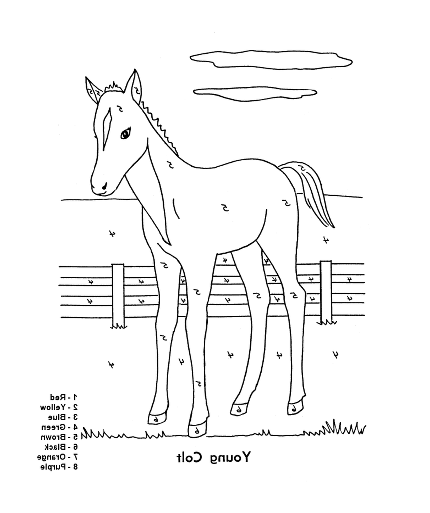  Um cavalo em pé na frente de uma cerca 