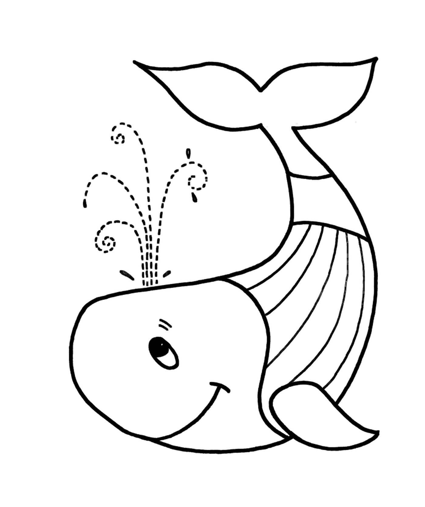  Uma baleia com respingos de água 