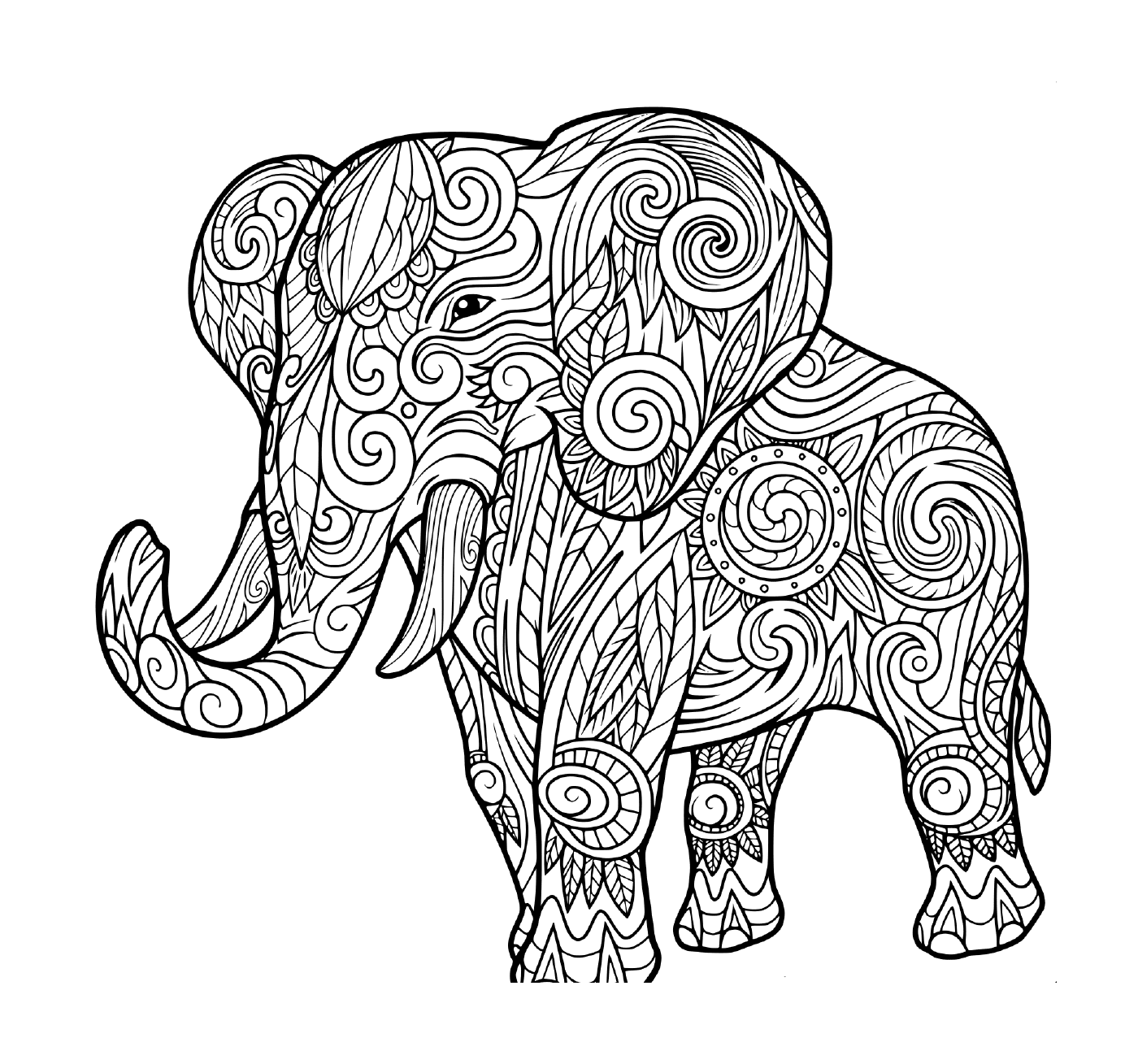  Elefante para adultos, animais 