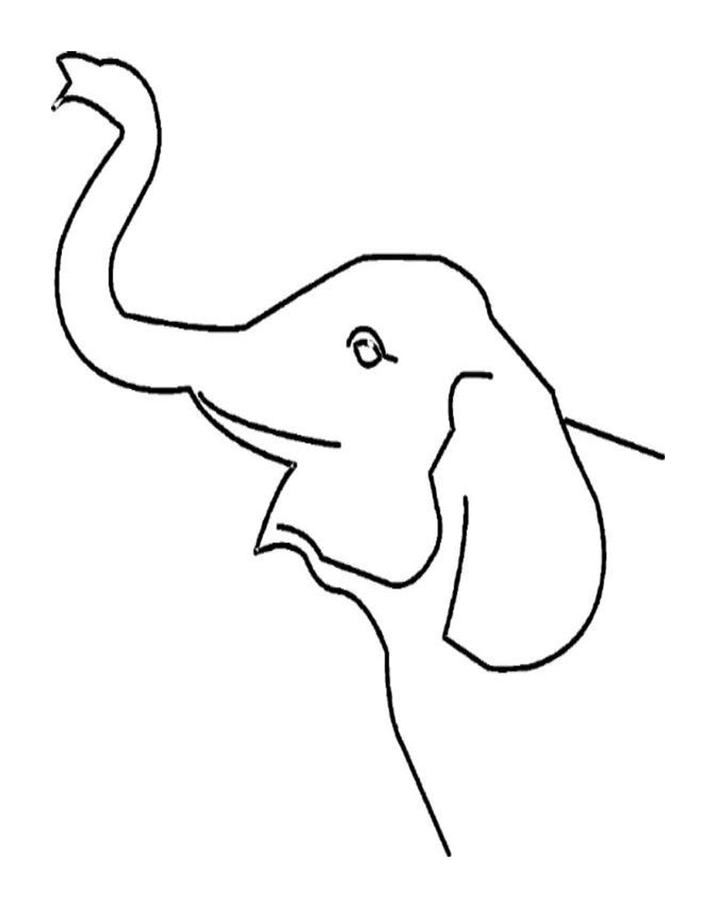  एक हाथी की जड़ उभर रही है 