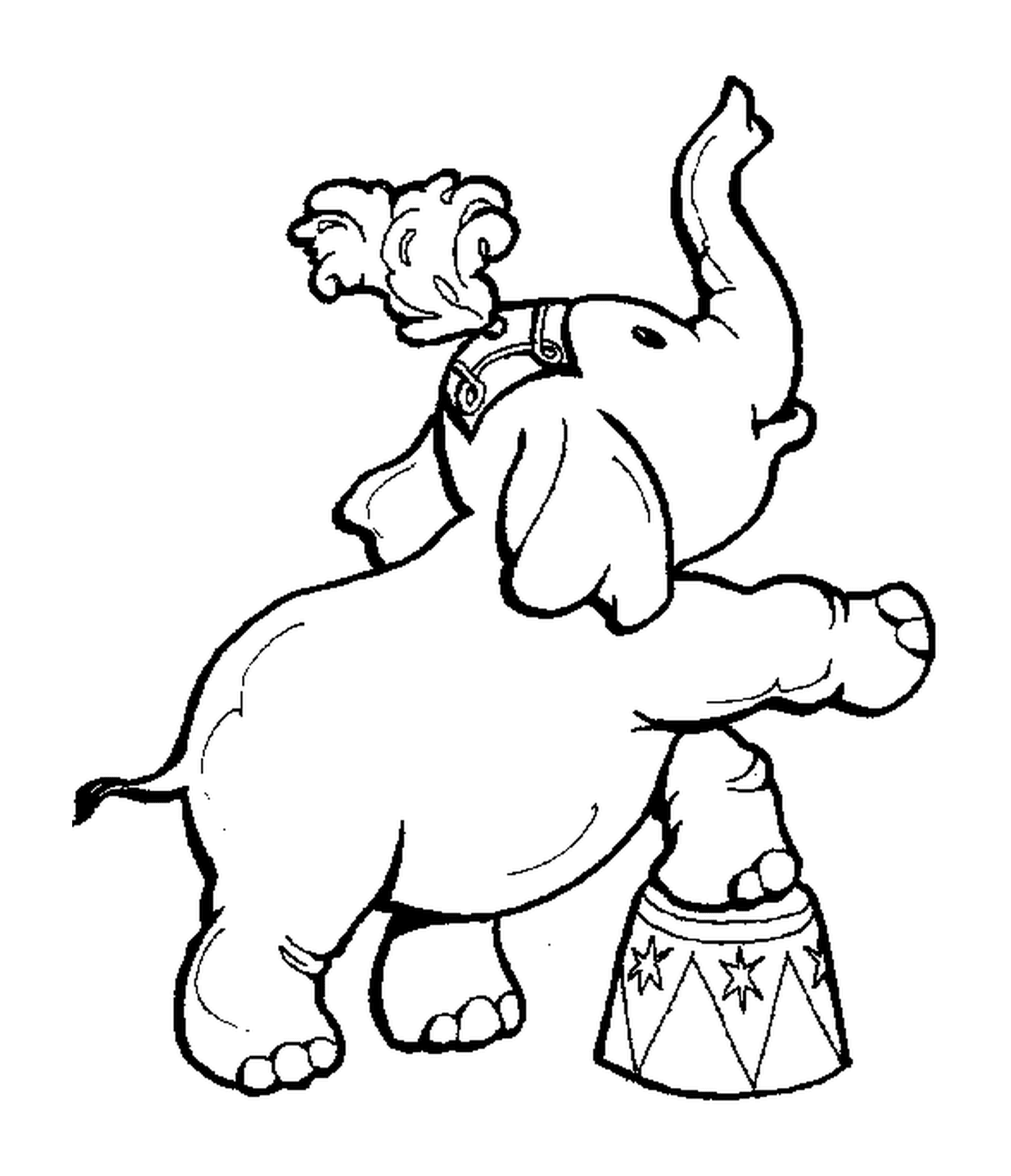  大象站在鼓鼓上 