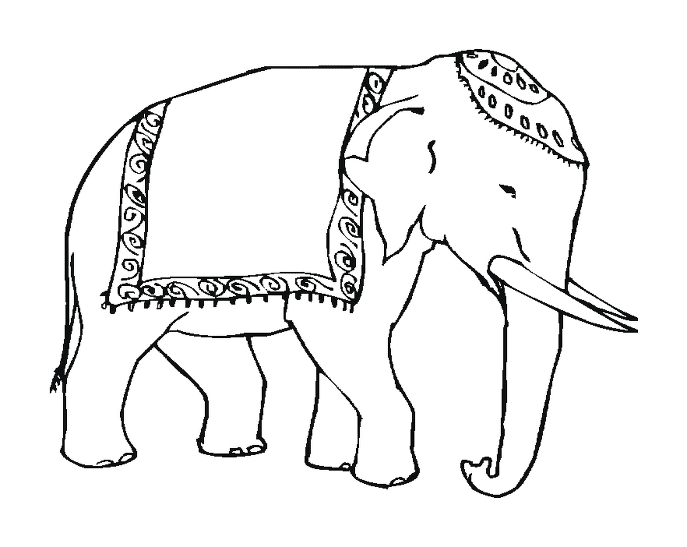  हाथी की पीठ पर एक चादर है 