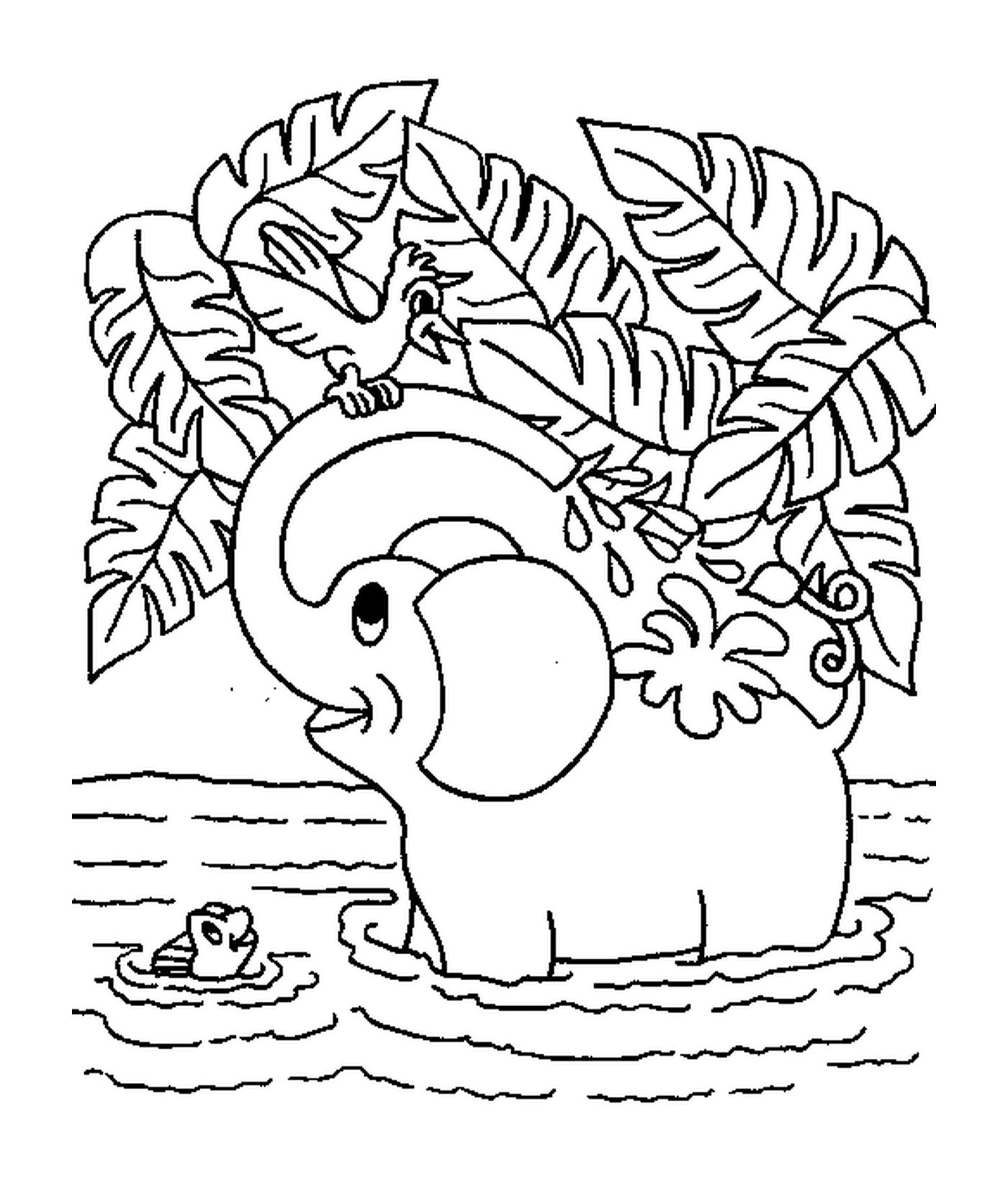  हाथी नदी में नहाता है 