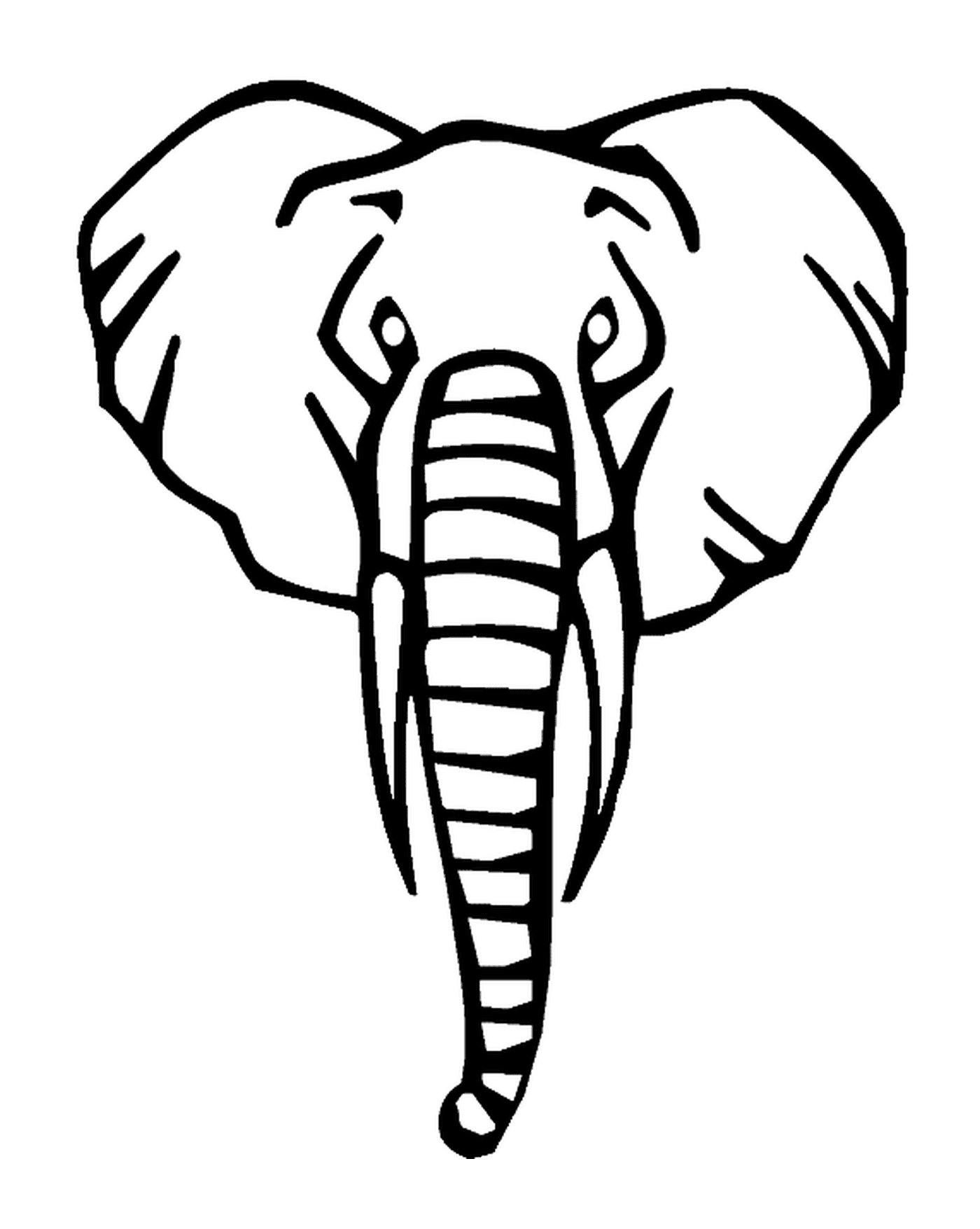  A cabeça de um elefante da frente 