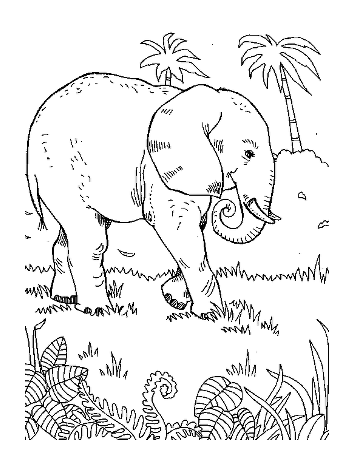  Um elefante andando na grama perto de uma palmeira 
