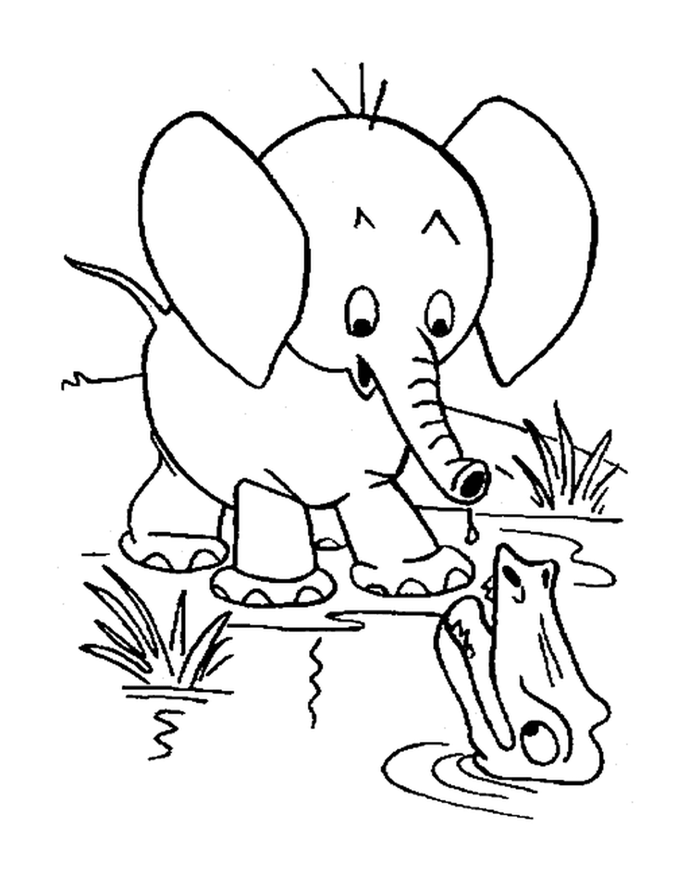  一只大象和鳄鱼站在水边 