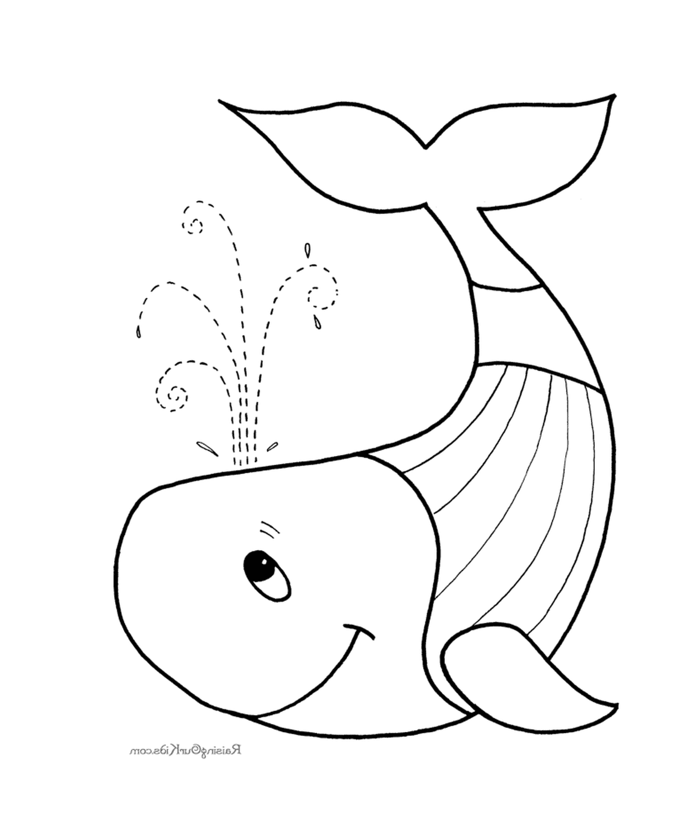  Baleia-de-água 
