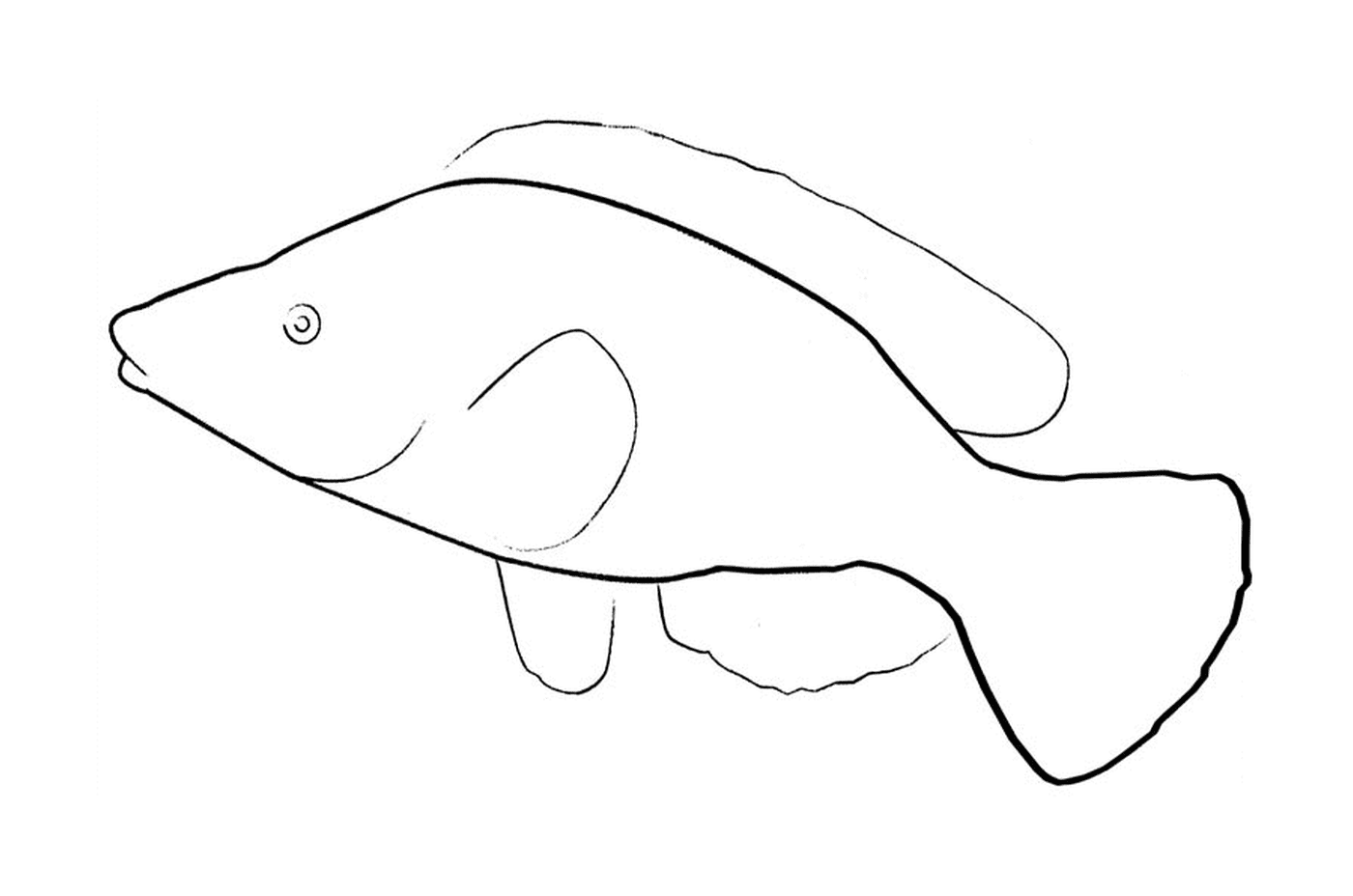  Peixes desenho abril 
