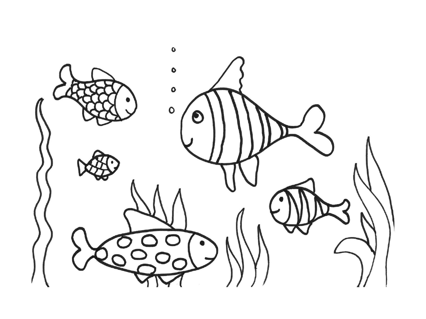  Muitos peixes na água 