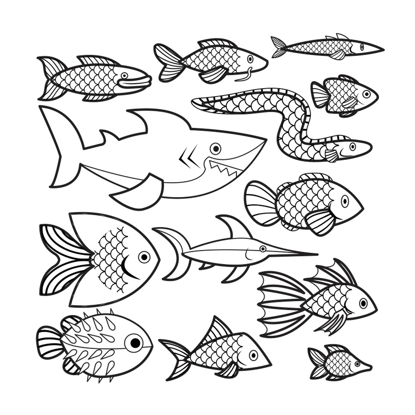  Muitos peixes para colorir 