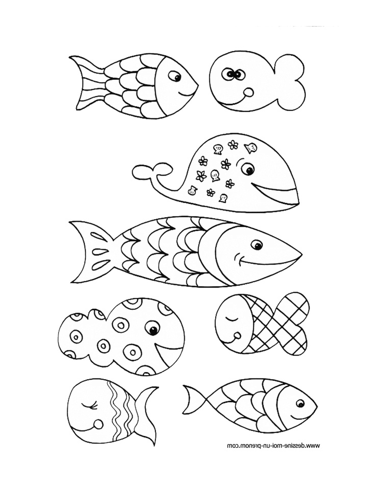  Alinhamento de vários peixes 