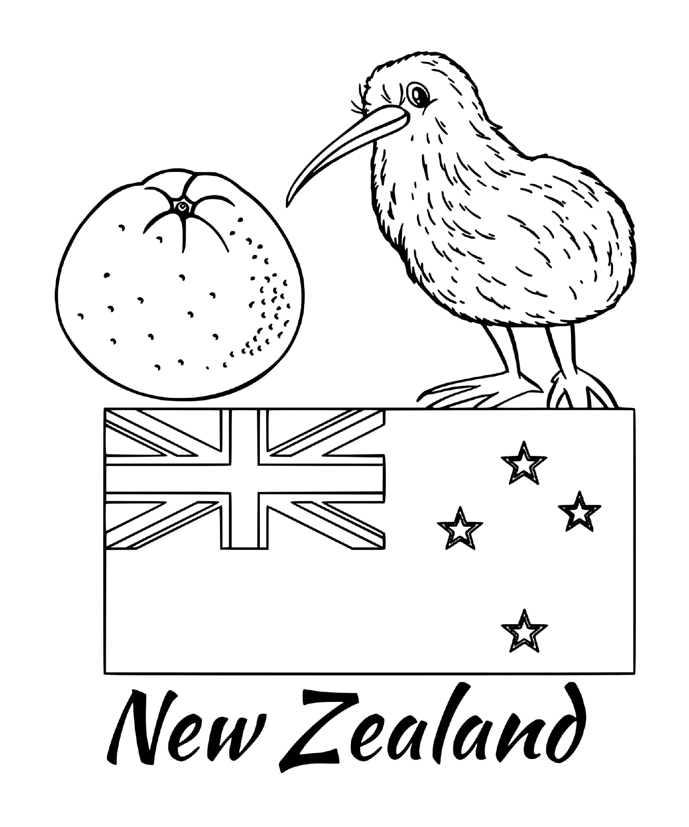  新西兰国旗,kiwi 