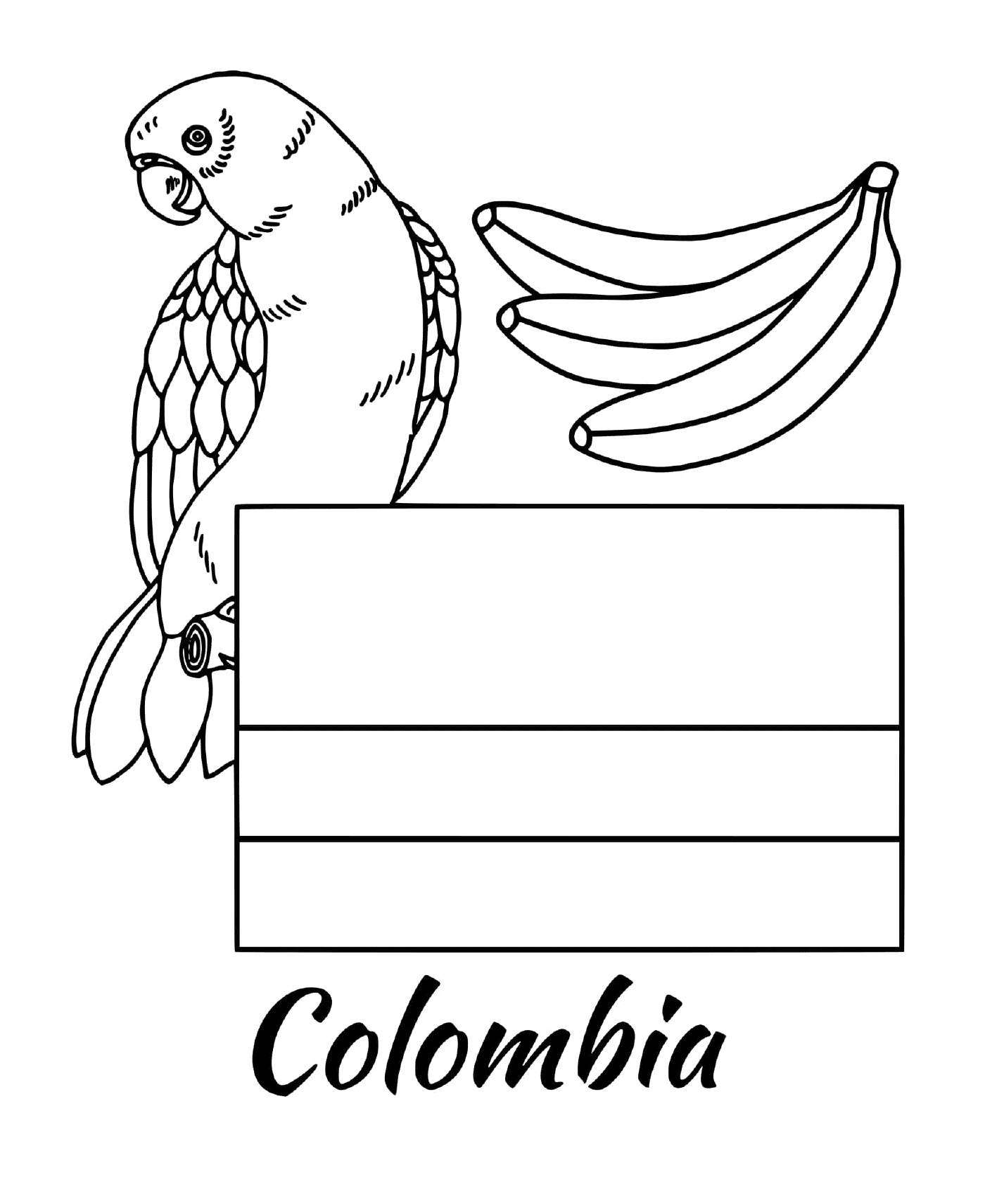  哥伦比亚国旗,鹦鹉 