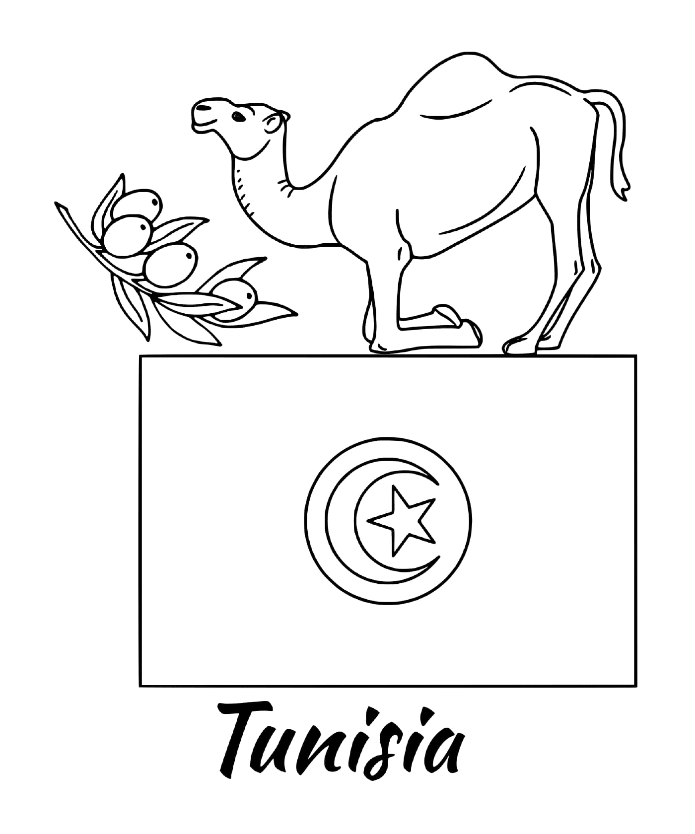  配骆驼的突尼斯国旗 