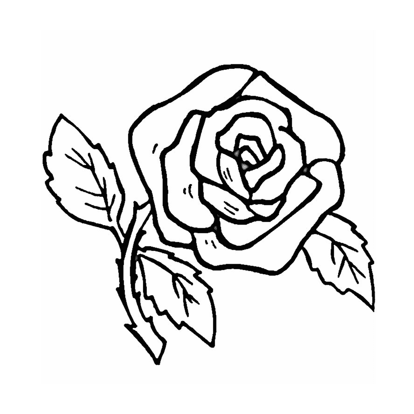  Uma rosa simples e fácil 