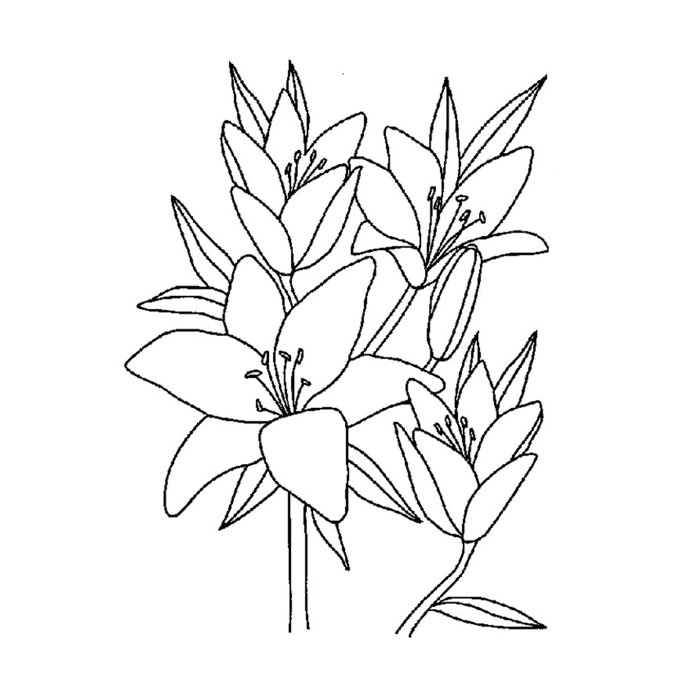  Uma flor de baunilha 