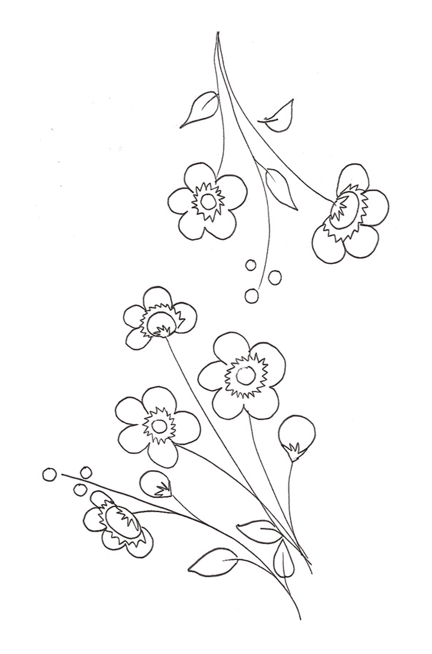  Uma flor de cerejeira em uma linha com um grupo de flores 