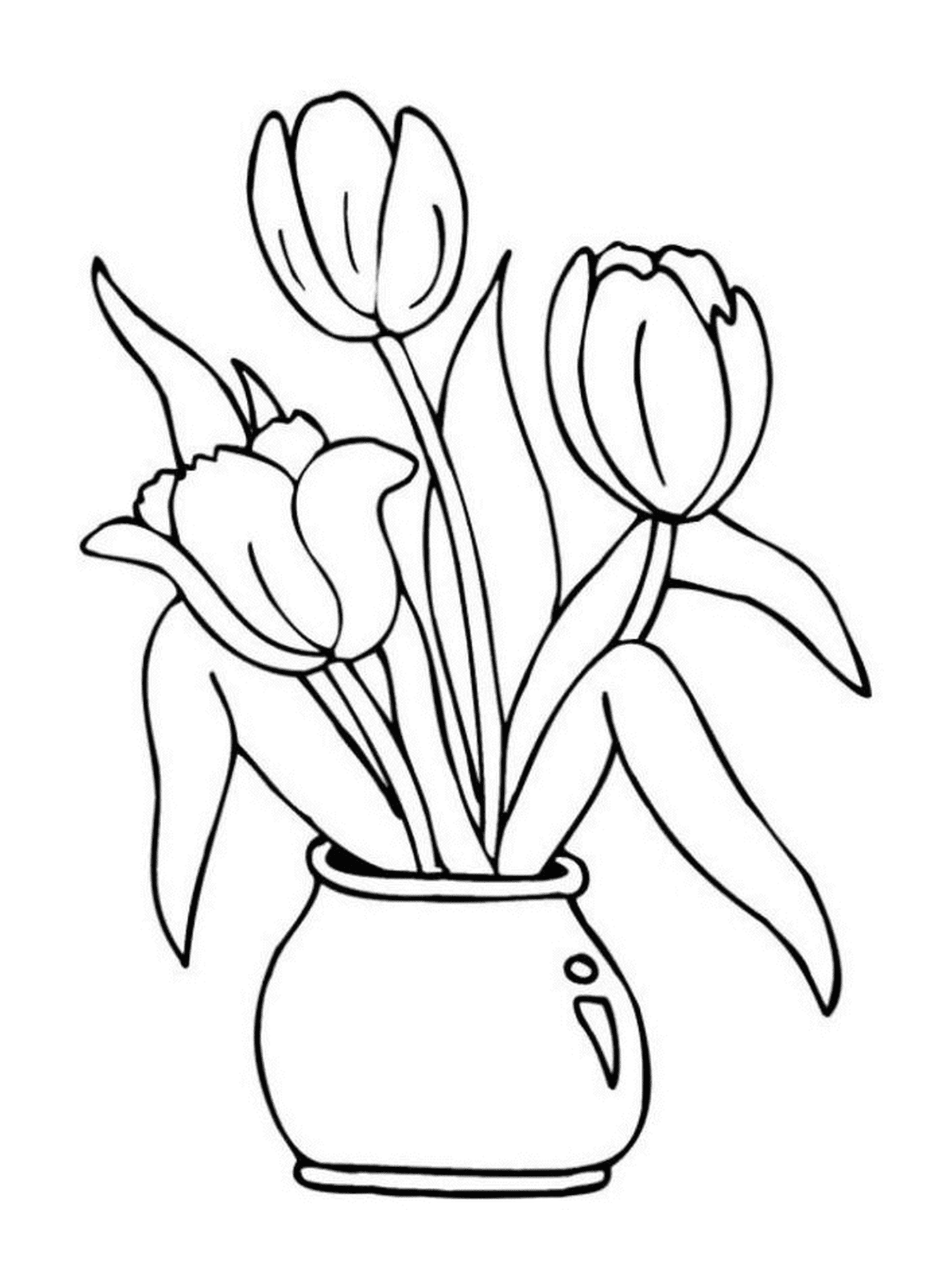  Três tulipas coloridas em um vaso 