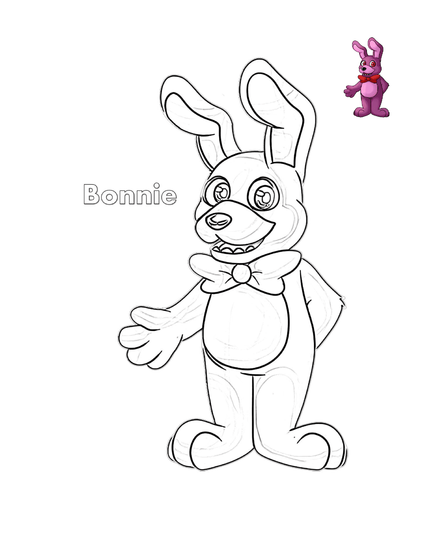  一只领领领结的兔子 