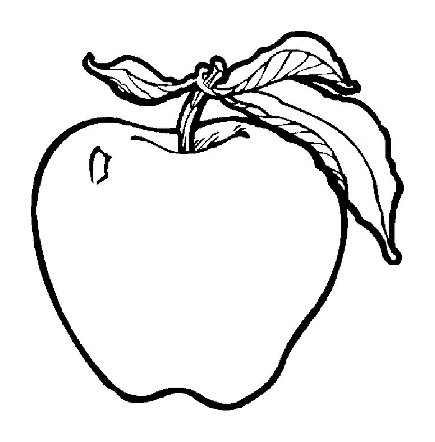  تفاح تفاح مع ورقة 