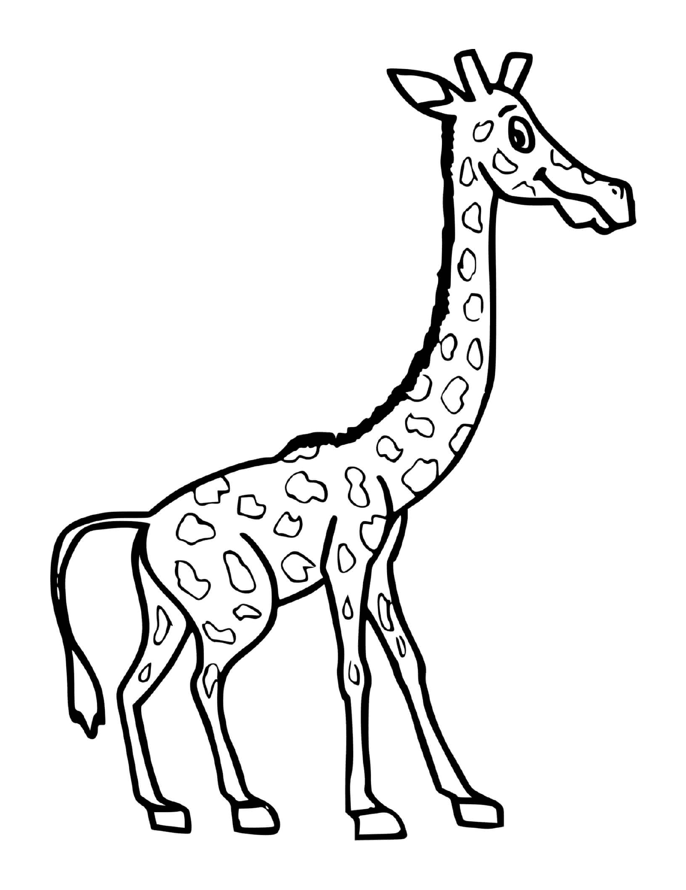  Uma grande girafa 